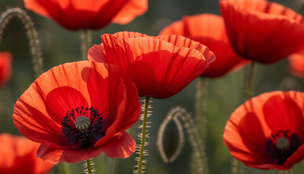 Similar image 22256011