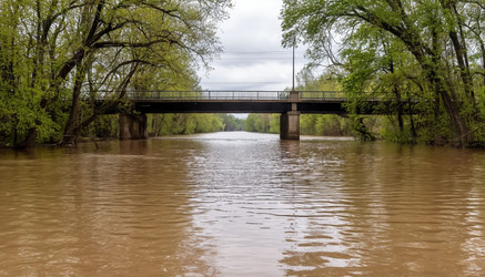 Similar image 22250453