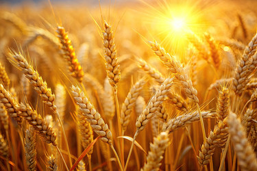 Similar image 22252536