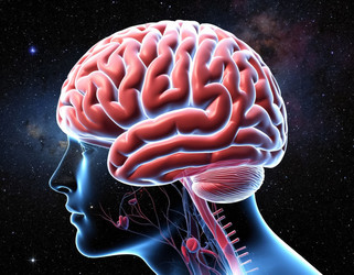 Similar image 22250457