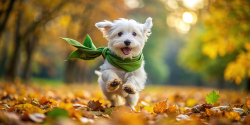 Similar image 22252566