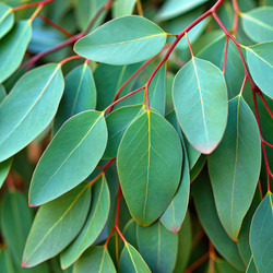 Similar image 22252567