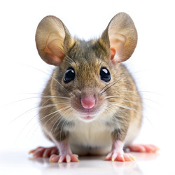 Similar image 22252569