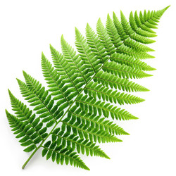 Similar image 22252830