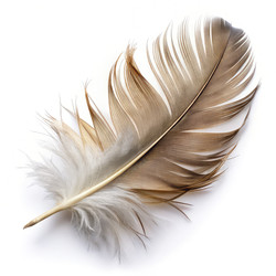 Similar image 22252416