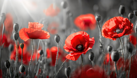 Similar image 22272708