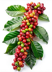 Similar image 22252932