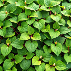 Similar image 22253006