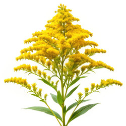 Similar image 22252462