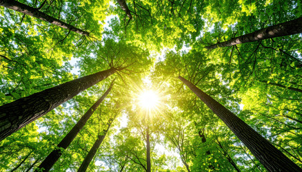 Similar image 22272744