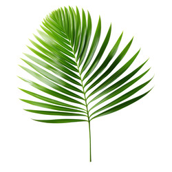 Similar image 22271438