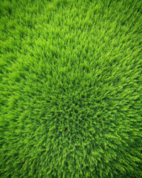 Similar image 22252474