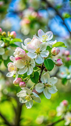 Similar image 22252483