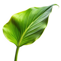 Similar image 22252724