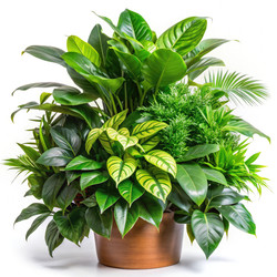 Similar image 22252736