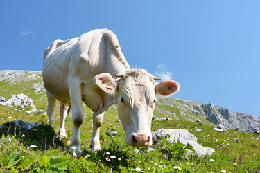 Similar image 22271170