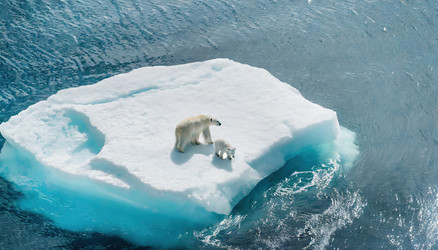 Similar image 22250085