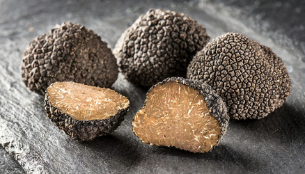 Similar image 22250090