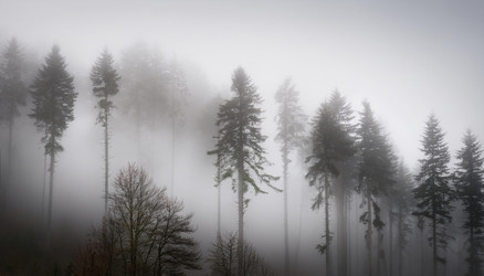 Similar image 22275395