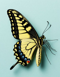 Similar image 22255487