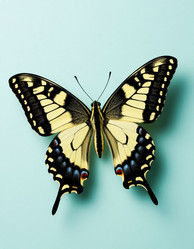 Similar image 22255688