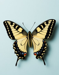 Similar image 22255798