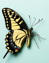 Similar image 22255802