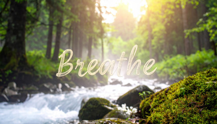 Similar image 22250129