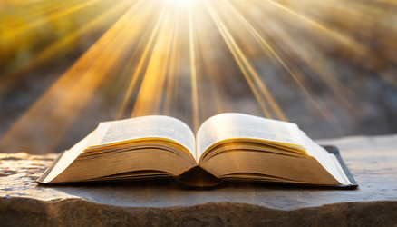 Similar image 22250132