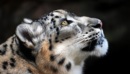 Similar image 22272575