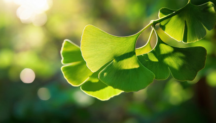 Similar image 22272830