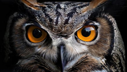 Similar image 22272303