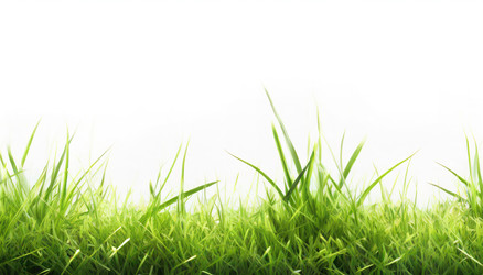 Similar image 22272315