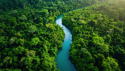 Similar image 22272335