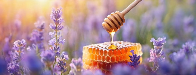 Similar image 22272426