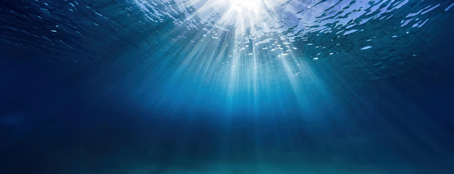 Similar image 22272428