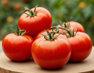 Similar image 22250471