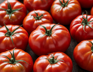 Similar image 22250595