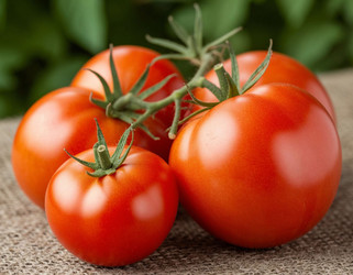 Similar image 22255243