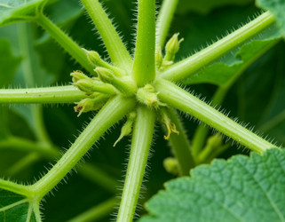 Similar image 22255505