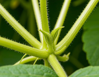 Similar image 22255806