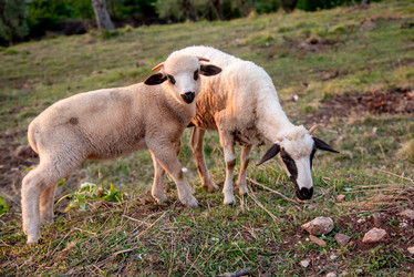 Similar image 22266725