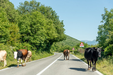 Similar image 22266727