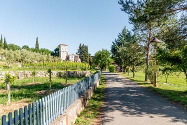 Similar image 22266733