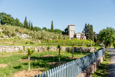 Similar image 22266734