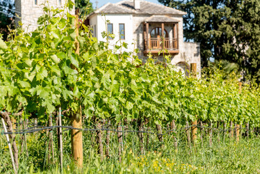 Similar image 22267001