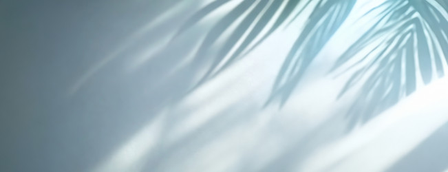 Similar image 22275617