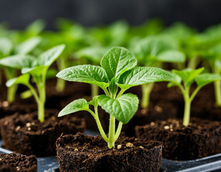 Similar image 22256021