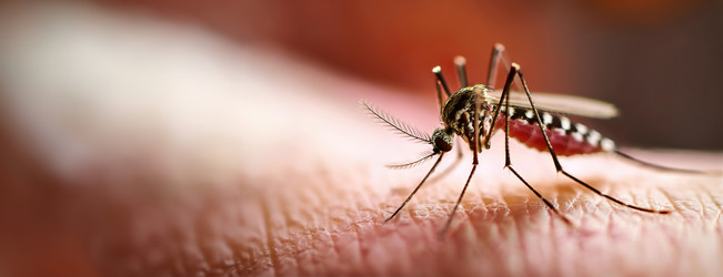 Similar image 22272431