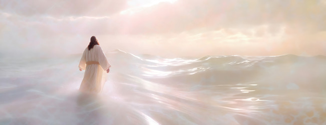 Similar image 22266495